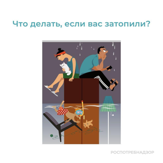 Что делать, если вас затопили?. Что делать, если вас затопили?.